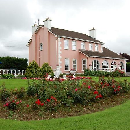 Ballingowan House Newcastle West Εξωτερικό φωτογραφία