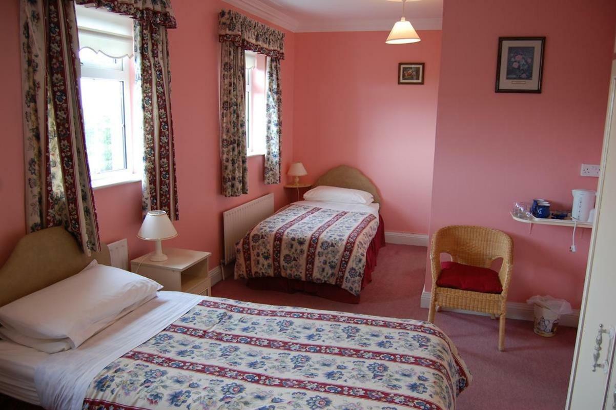 Ballingowan House Newcastle West Εξωτερικό φωτογραφία