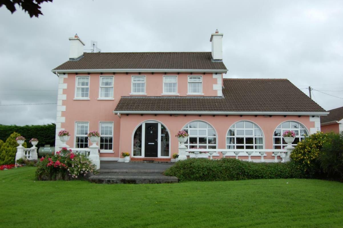 Ballingowan House Newcastle West Εξωτερικό φωτογραφία